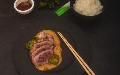 Sate-Ente